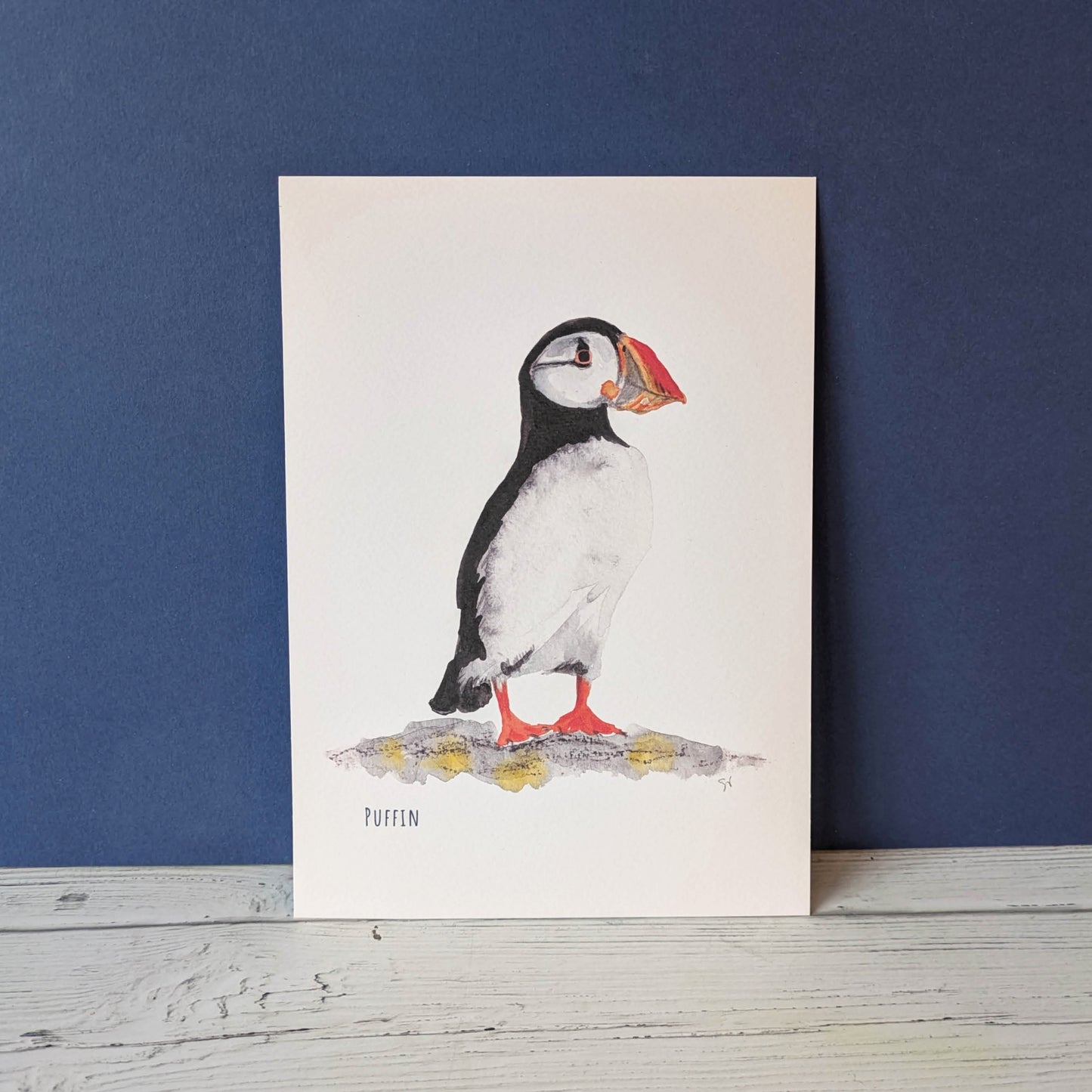 Watercolour Art Print - Birds - Puffin - A5