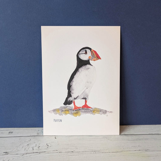 Watercolour Art Print - Birds - Puffin - A5
