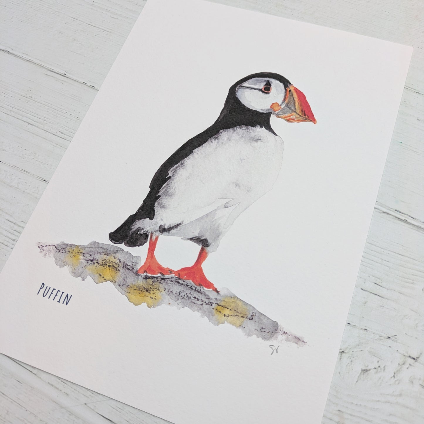 Watercolour Art Print - Birds - Puffin - A5