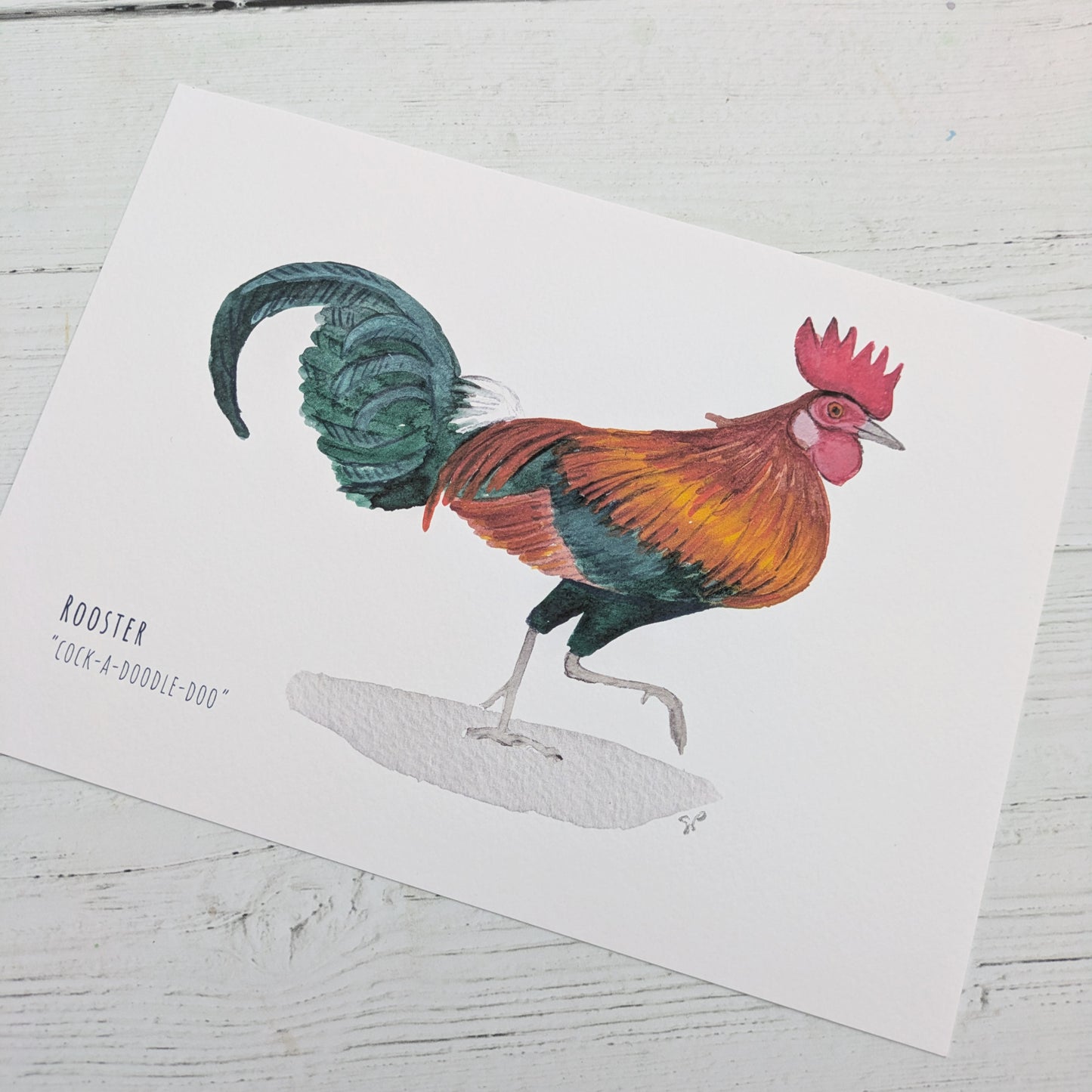 Watercolour Art Print - Birds - Rooster - A5