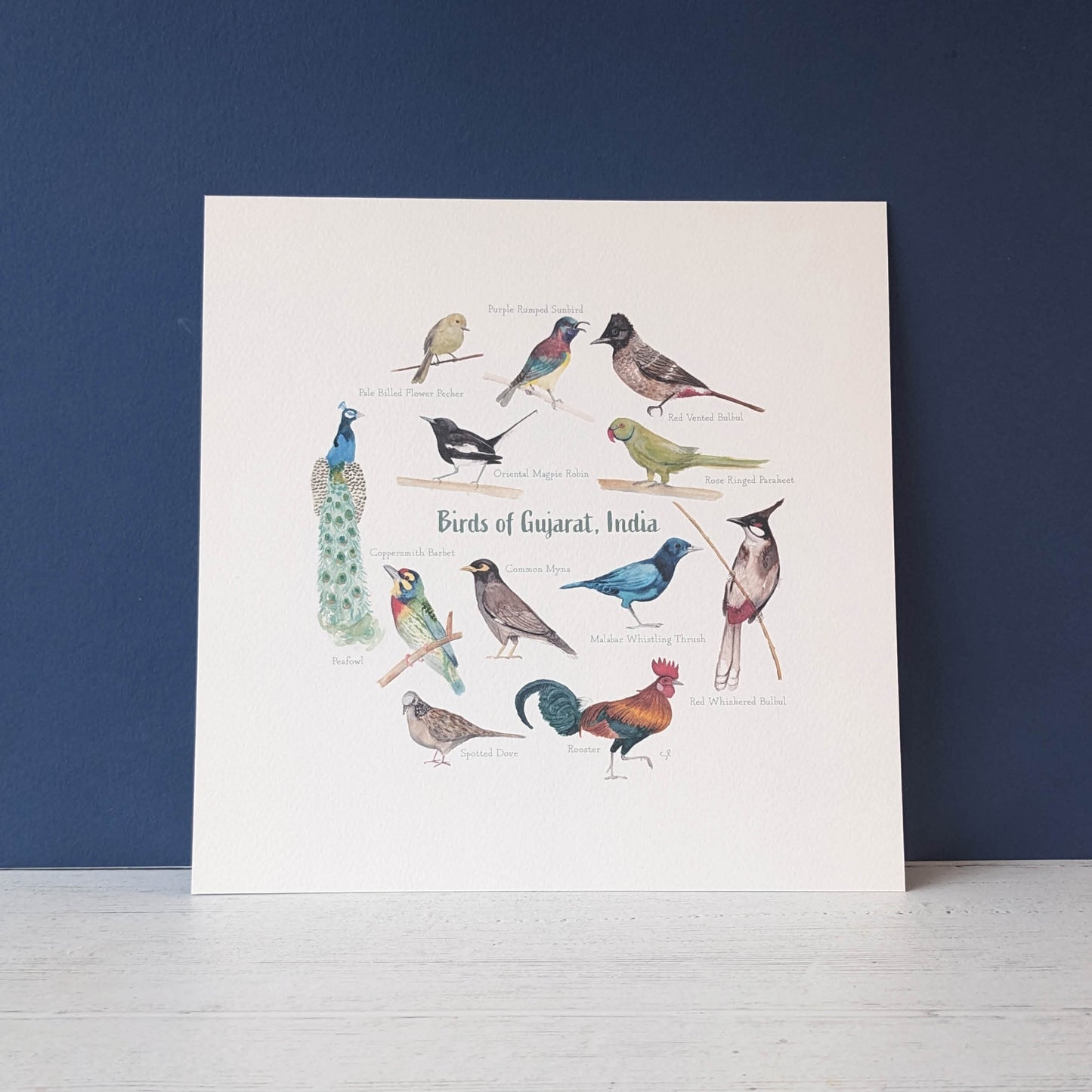 Watercolour Art Print - Birds - Rooster - A5