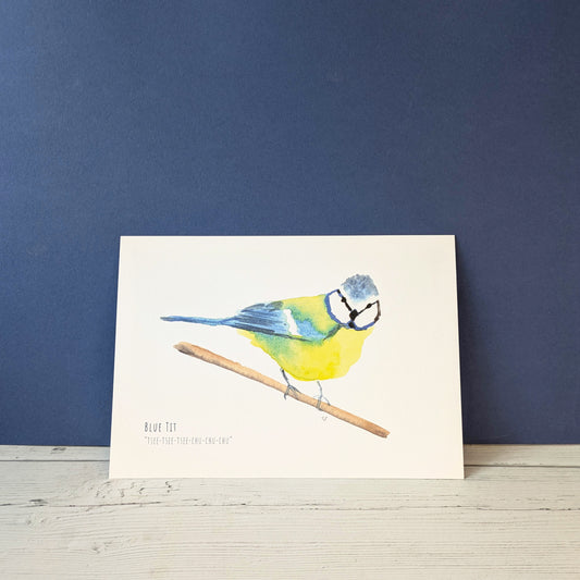 Watercolour Art Print - Garden Birds - Blue Tit - A5