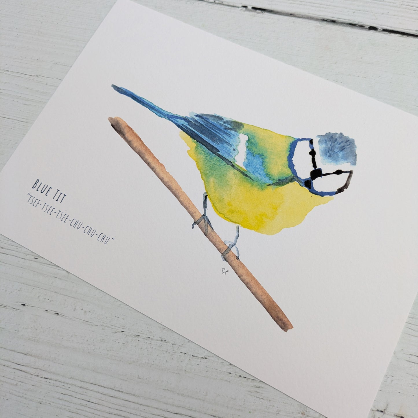 Watercolour Art Print - Garden Birds - Blue Tit - A5