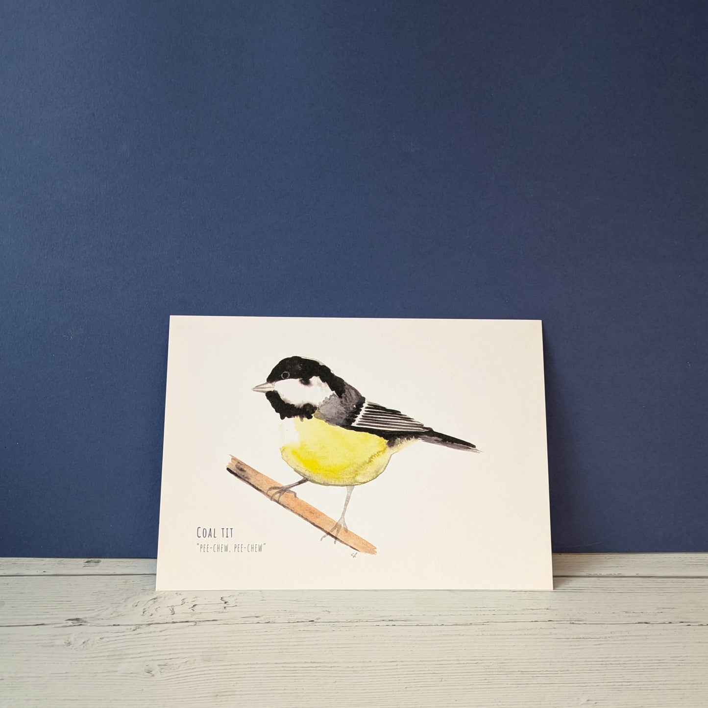 Watercolour Art Print - Garden Birds - Coal Tit - A5