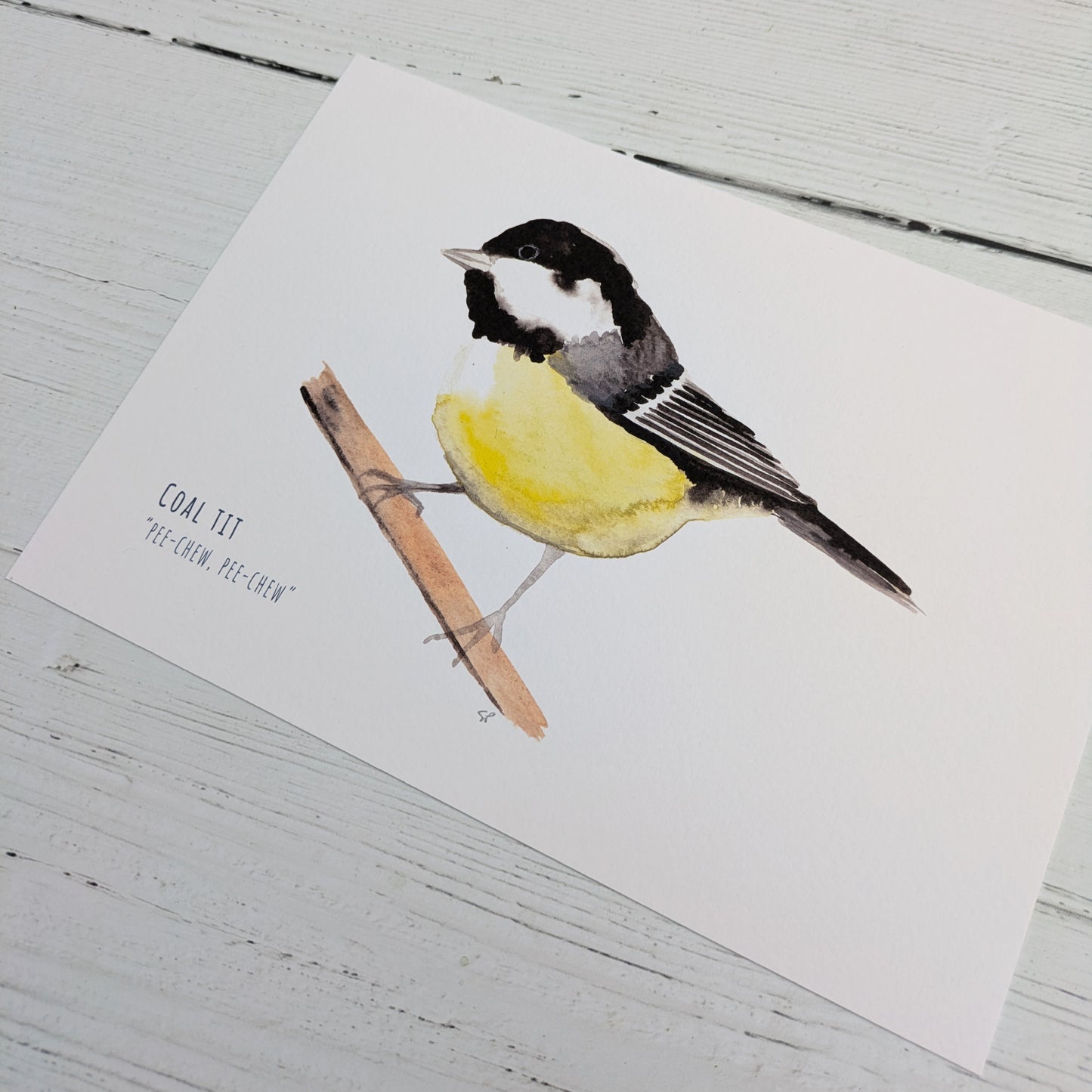 Watercolour Art Print - Garden Birds - Coal Tit - A5