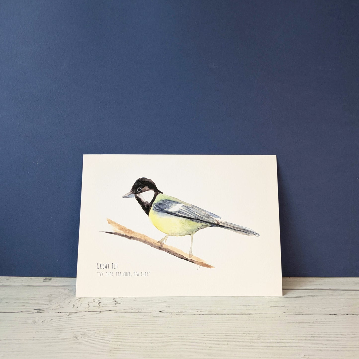 Watercolour Art Print - Garden Birds - Great Tit - A5