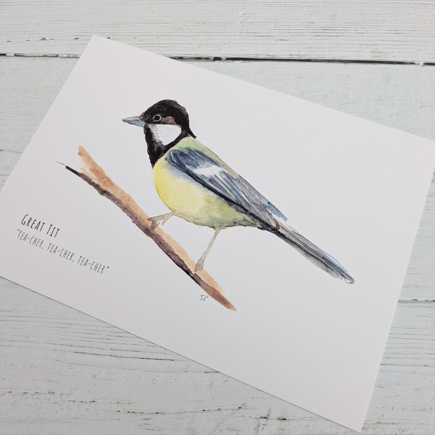 Watercolour Art Print - Garden Birds - Great Tit - A5