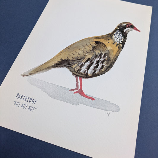 Watercolour Art Print - Garden Birds- Partridge- A5
