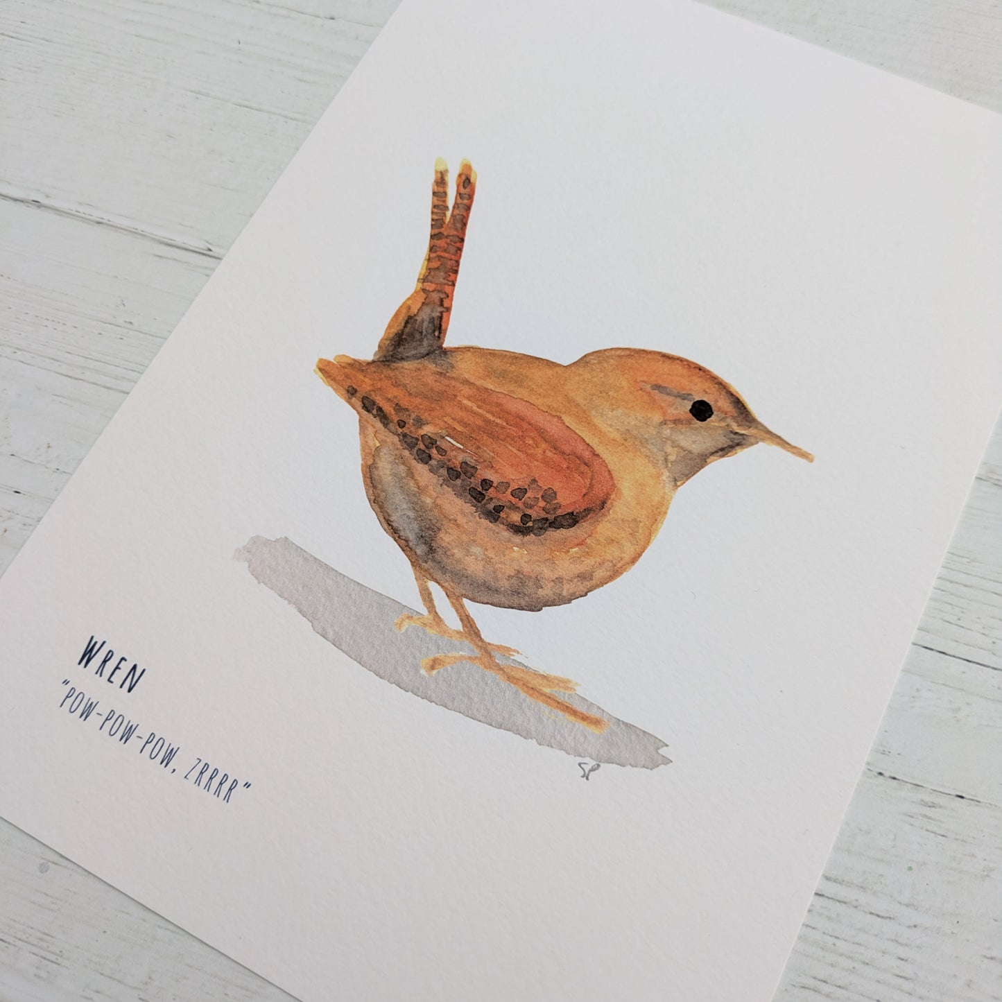 Watercolour Art Print - Garden Birds - Wren- A5