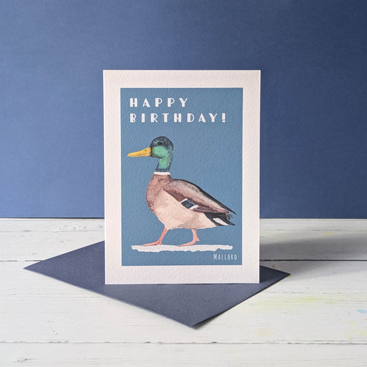 Greetings card - Mallard - Happy Birthday