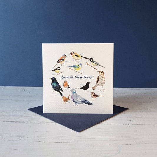 Square Greetings Card - Garden Birds