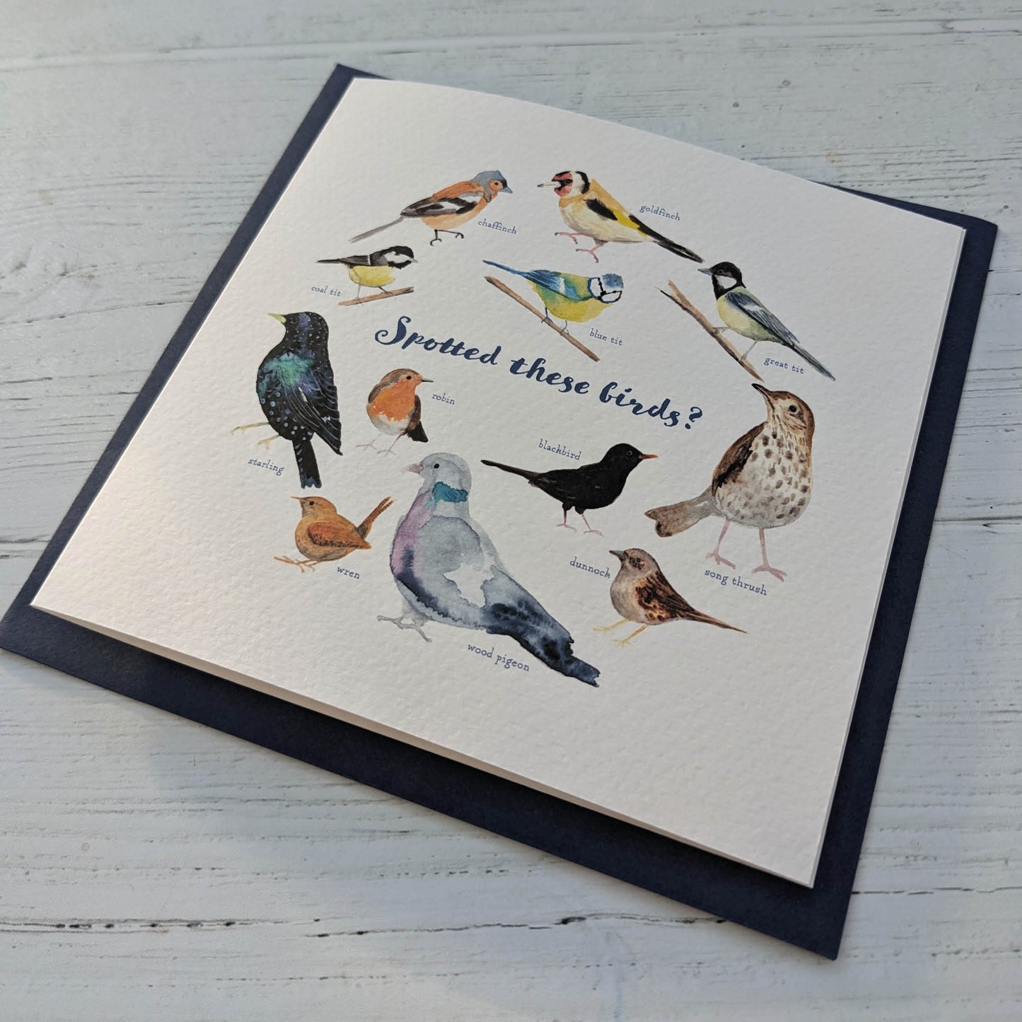 Square Greetings Card - Garden Birds