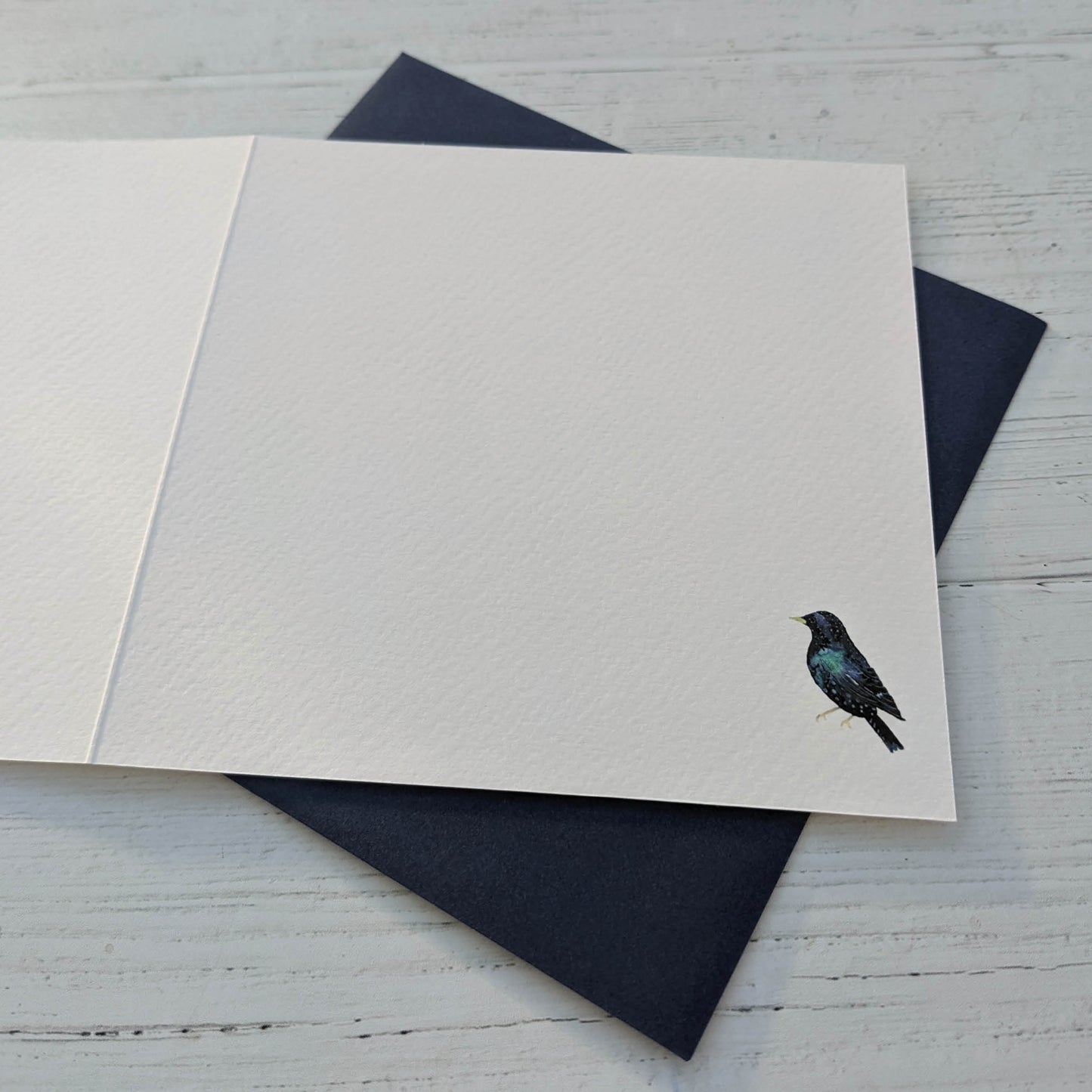 Square Greetings Card - Garden Birds