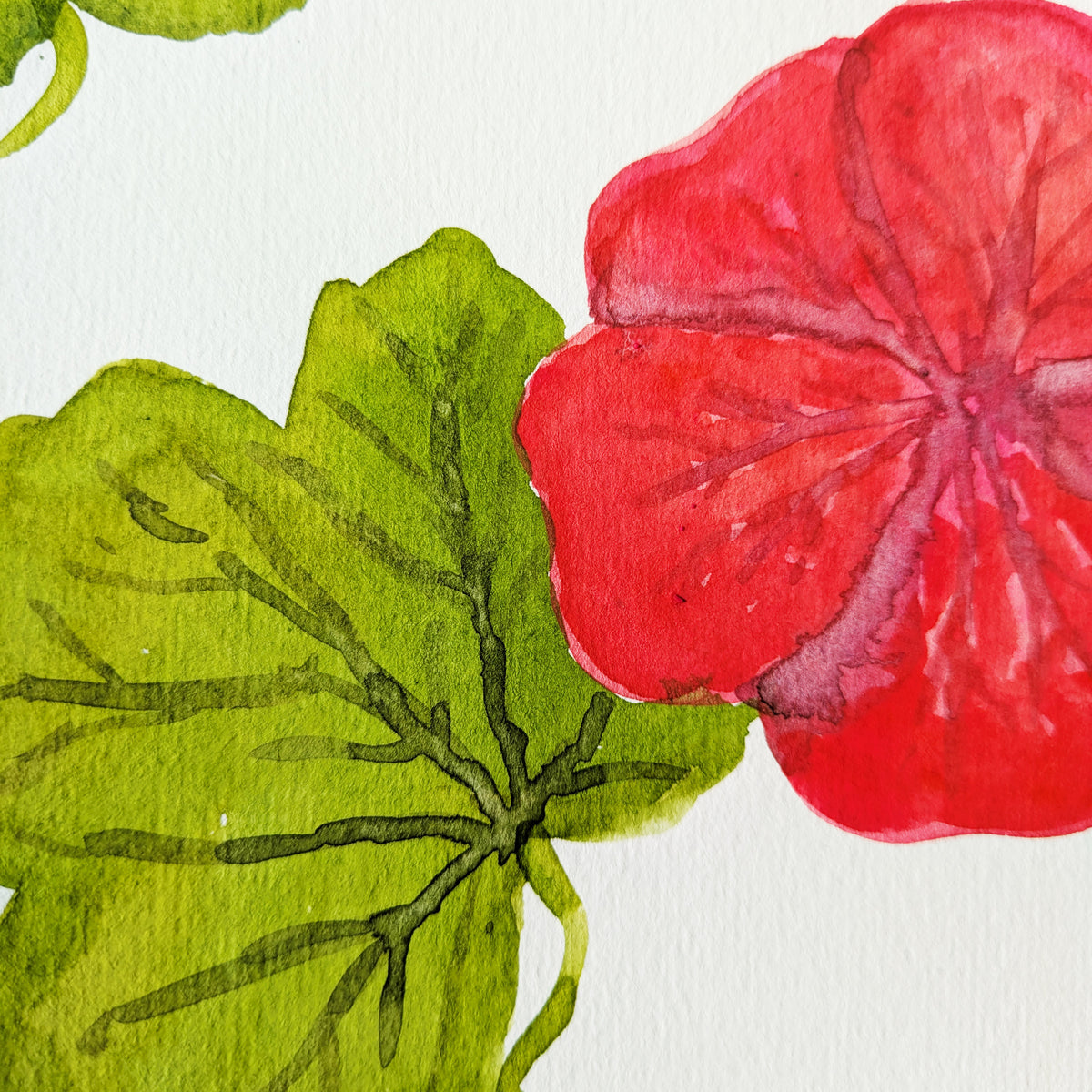 Watercolour Classes - Bromham - Water Control in Watercolours