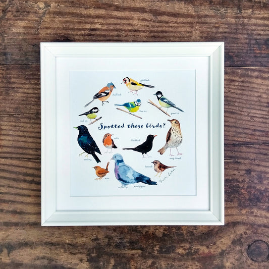 Watercolour Art Print - Garden Birds