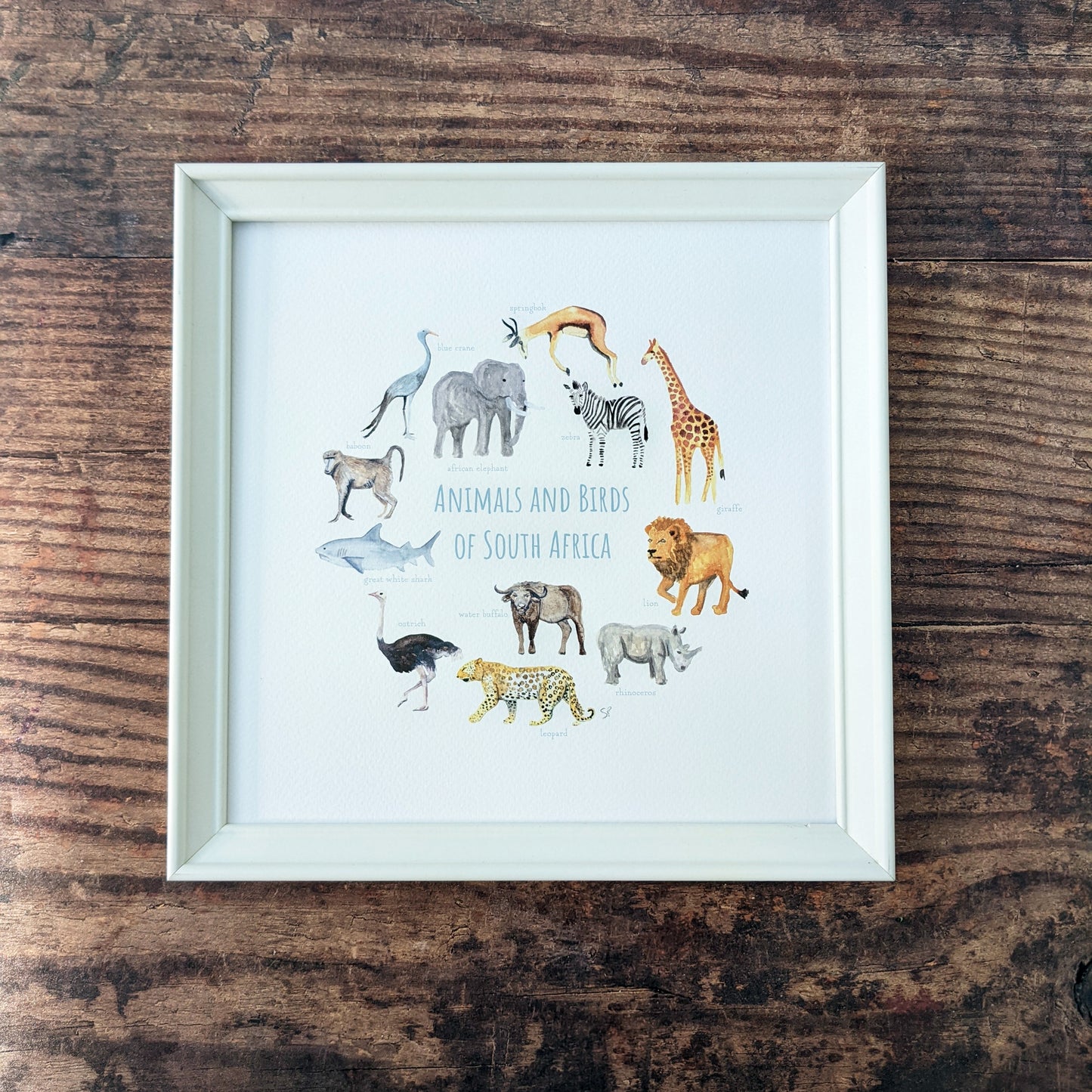 Watercolour Art Print - Animals of South Africa