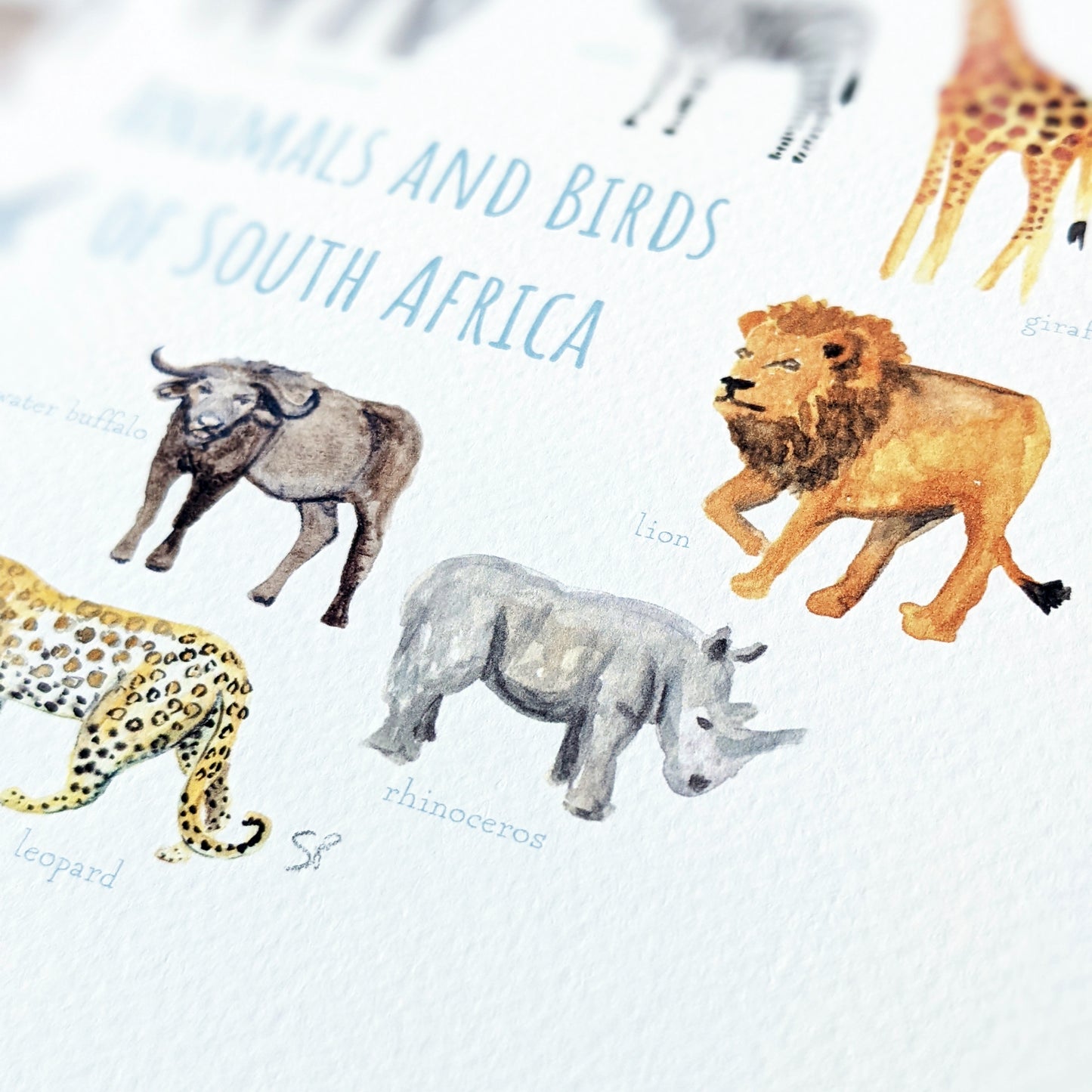 Watercolour Art Print - Animals of South Africa